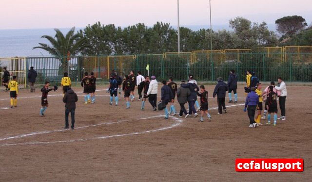 101218_Arenel 294y_tn.jpg